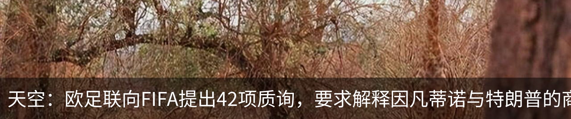 行业资讯